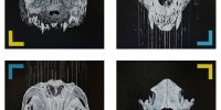 TierSchädelQuartett, Acryl+Spraylack on canvas, je 70x70, 2014